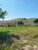 Terreno, 25 hectares - Foto 34