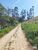 Terreno, 25 hectares - Foto 17