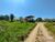 Terreno, 25 hectares - Foto 48
