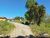 Terreno, 25 hectares - Foto 20