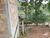 Fazenda-Sítio-Chácara, 1175 m² - Foto 4