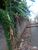 Terreno, 1480 m² - Foto 3