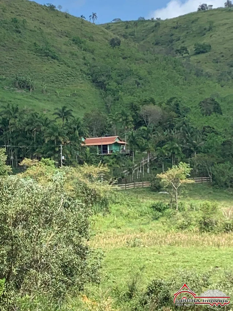 Chácara, 3 quartos, 2 hectares - Foto 14