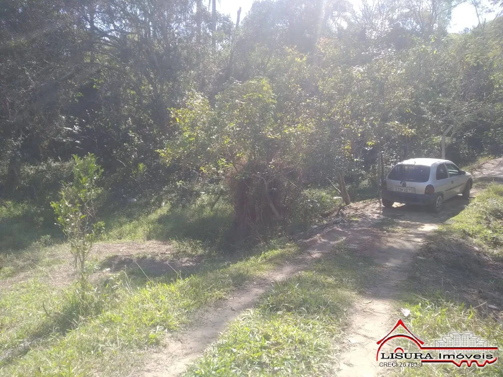 Terreno, 3 hectares - Foto 3