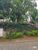 Terreno, 250 m² - Foto 1