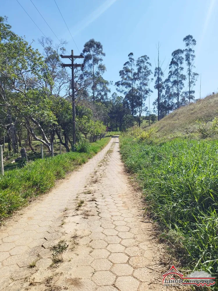 Terreno, 25 hectares - Foto 4