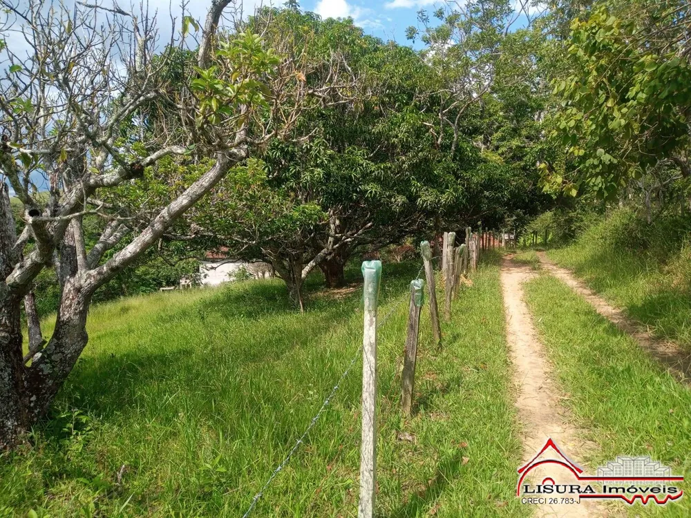 Sítio, 3 quartos, 3 hectares - Foto 9