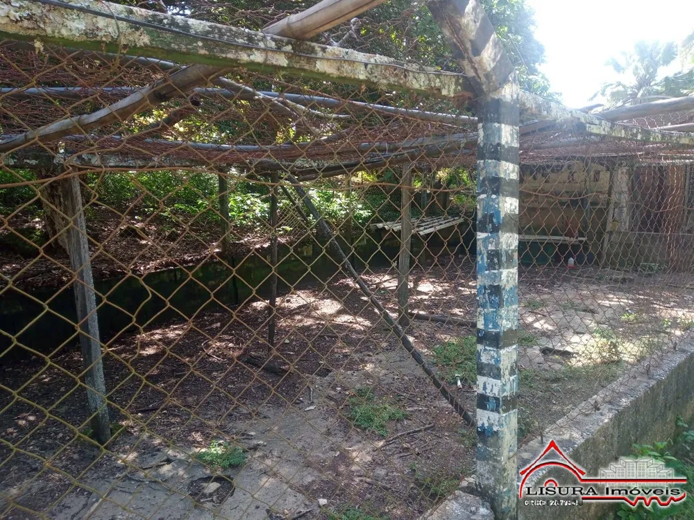 Sítio, 3 quartos, 3 hectares - Foto 13