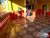 Casa, 2 quartos, 150 m² - Foto 4