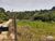 Terreno, 3000 m² - Foto 2