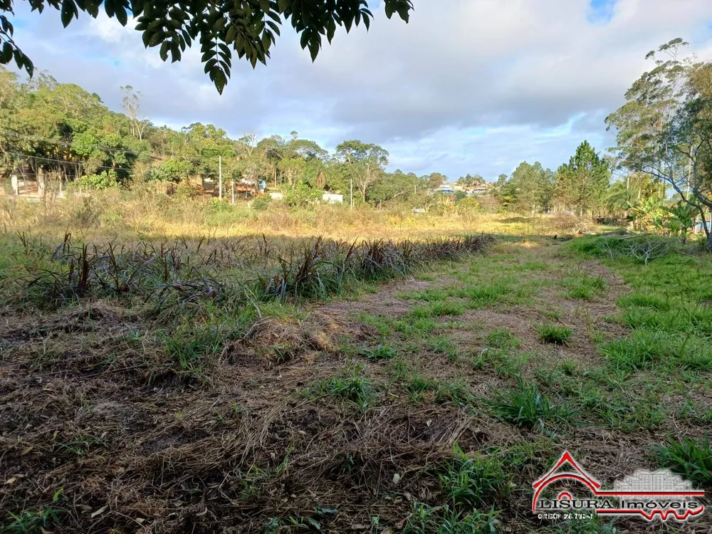 Sítio, 3 quartos, 4 hectares - Foto 4