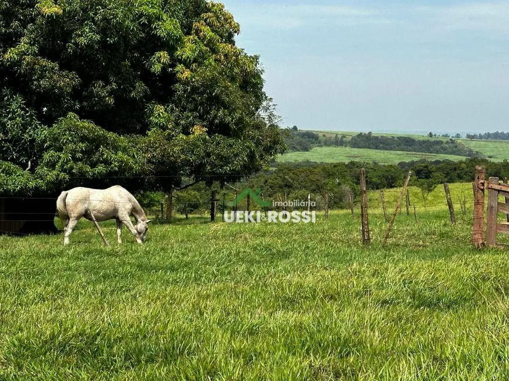 Fazenda, 702 hectares - Foto 20