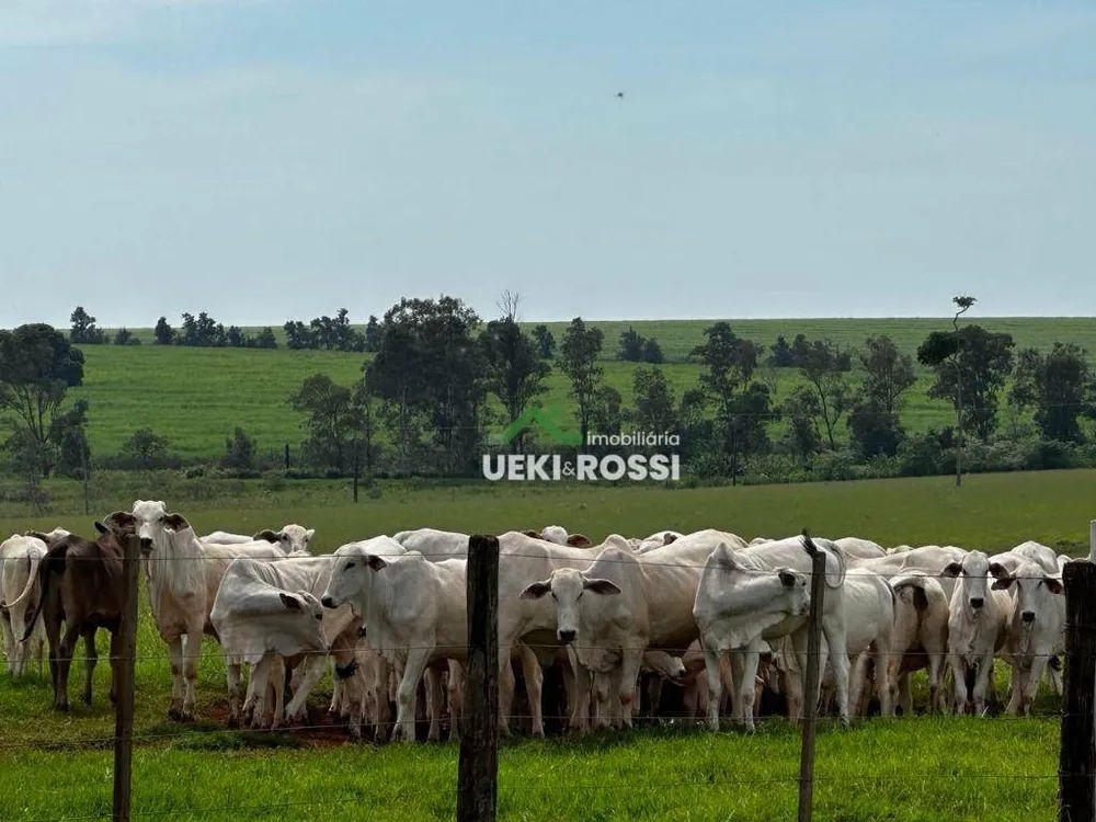 Fazenda, 702 hectares - Foto 10
