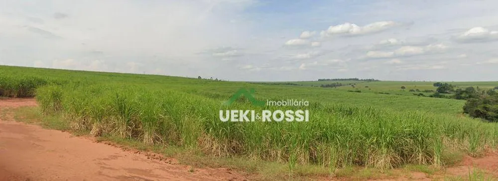 Fazenda, 702 hectares - Foto 4