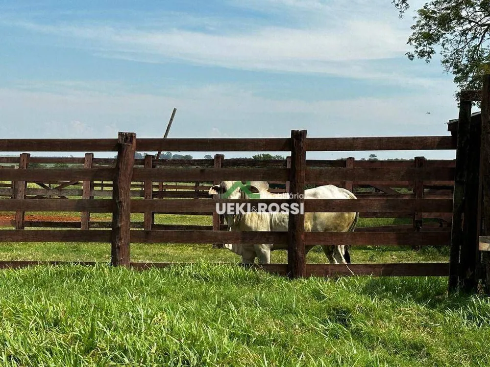 Fazenda, 702 hectares - Foto 16