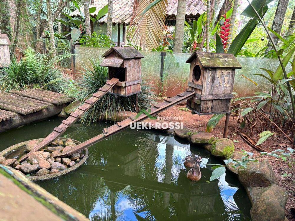 Chácara, 3 quartos, 3000 m² - Foto 6