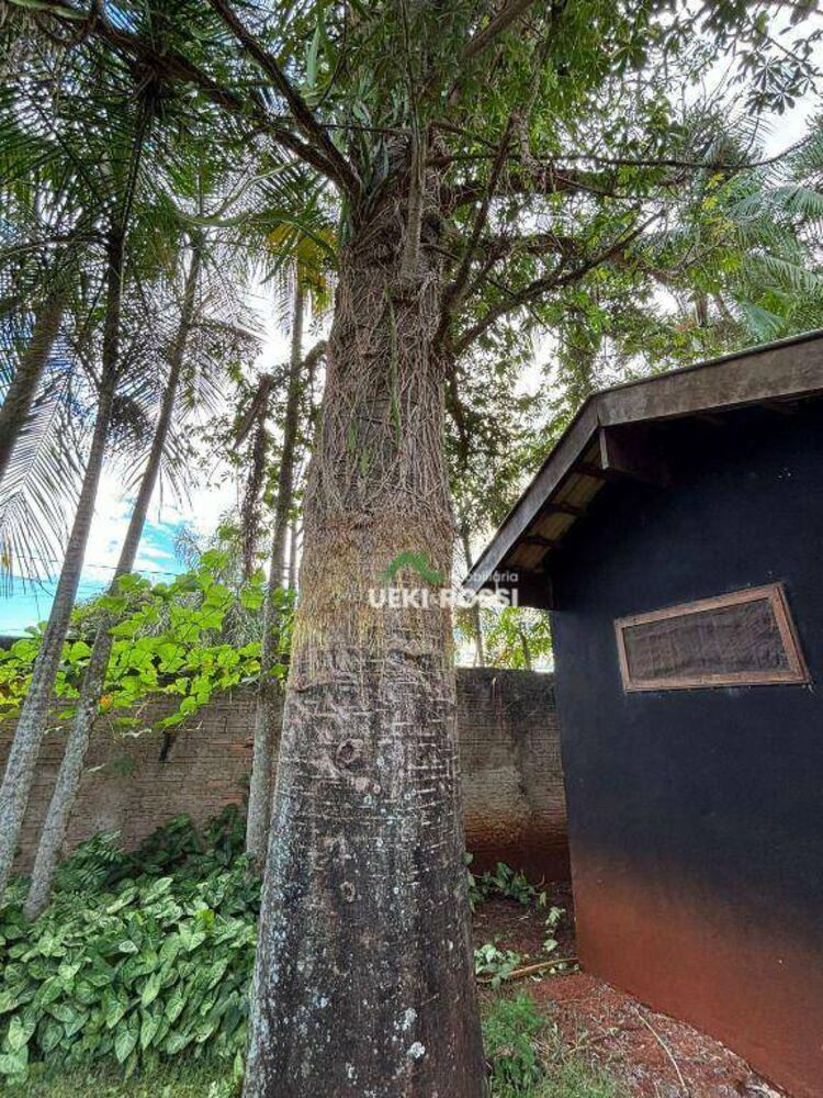 Chácara, 3 quartos, 3000 m² - Foto 7