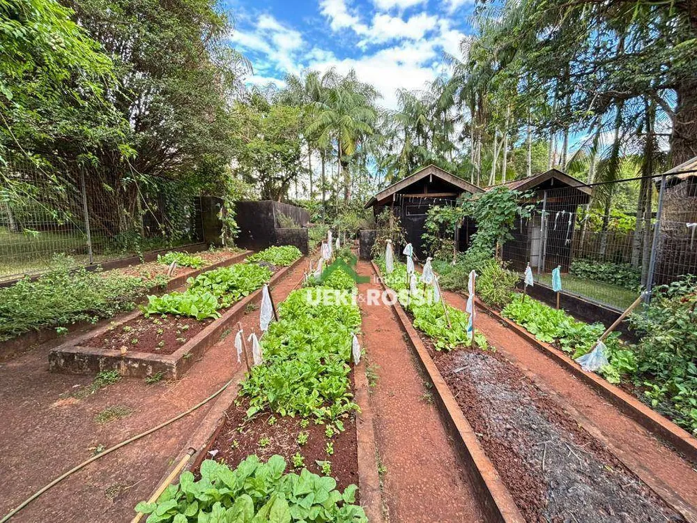 Chácara, 3 quartos, 3000 m² - Foto 16