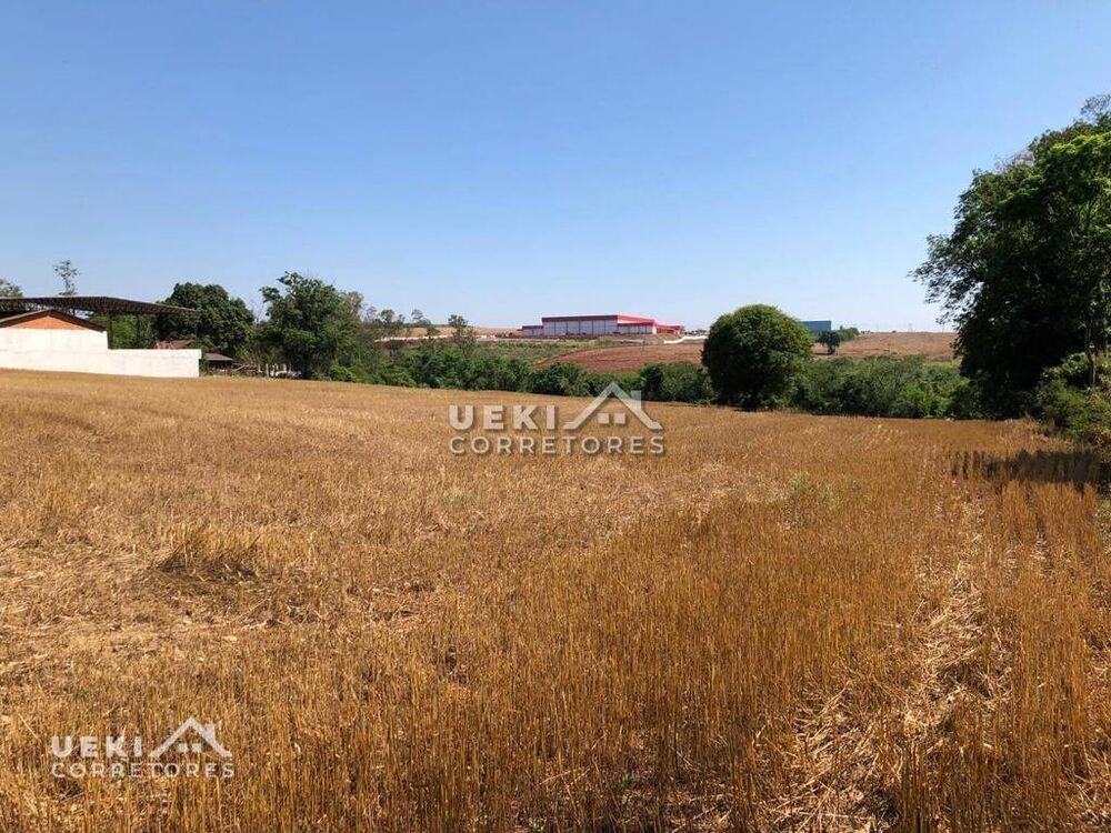 Terreno, 2 hectares - Foto 3