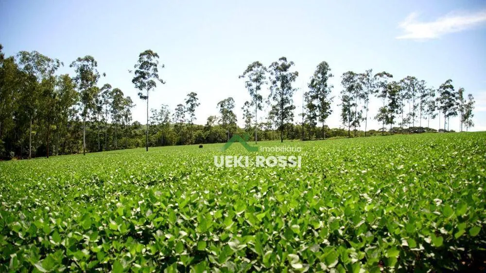 Fazenda, 34 hectares - Foto 2