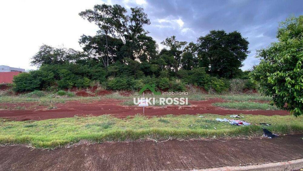 Terreno, 250 m² - Foto 4