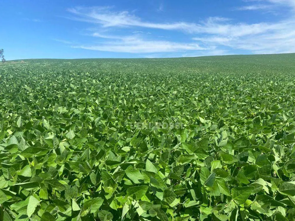 Fazenda, 97 hectares - Foto 1