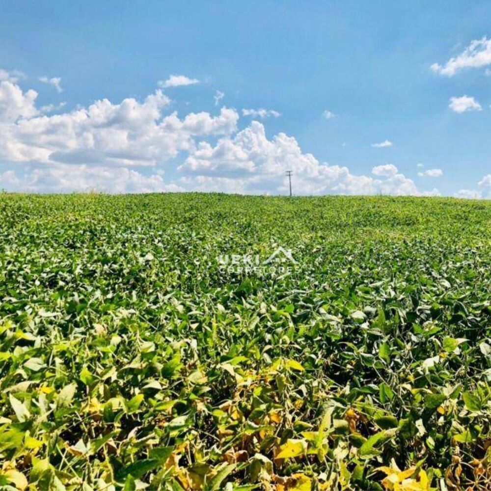 Fazenda à venda, 2081200M2 - Foto 2