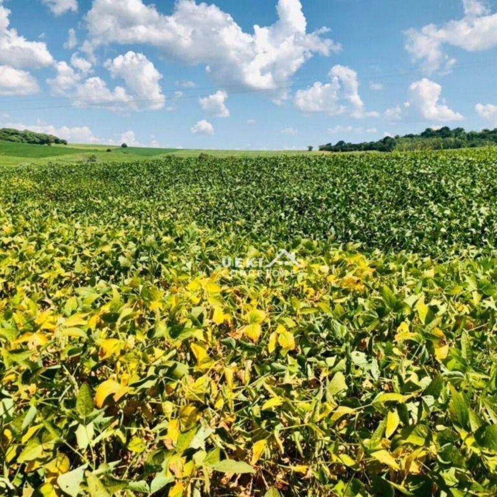 Fazenda à venda, 2081200M2 - Foto 3
