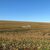 Fazenda-Sítio-Chácara, 208 hectares - Foto 1