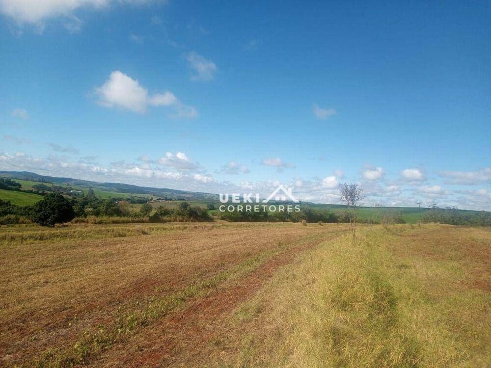 Fazenda-Sítio-Chácara, 12 hectares - Foto 5