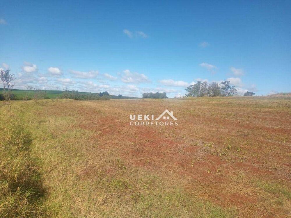 Fazenda-Sítio-Chácara, 12 hectares - Foto 2