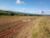 Fazenda-Sítio-Chácara, 12 hectares - Foto 1