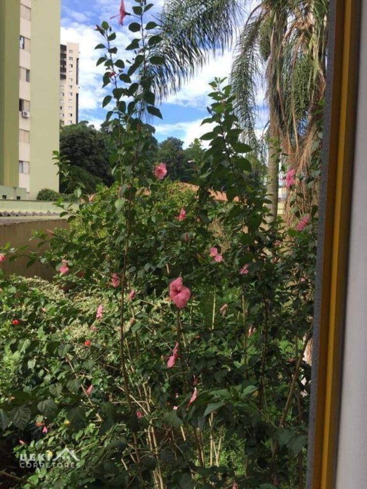 Apartamento, 3 quartos, 56 m² - Foto 6