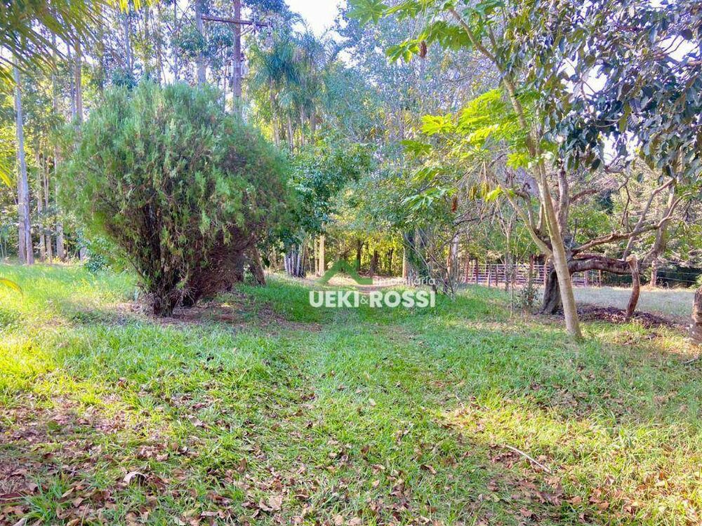 Chácara à venda com 3 quartos, 34000M2 - Foto 6