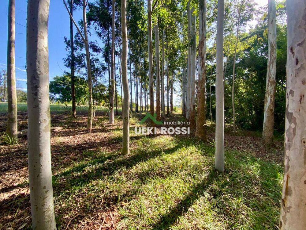 Chácara à venda com 3 quartos, 34000M2 - Foto 7