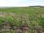 Fazenda-Sítio-Chácara, 169 hectares - Foto 6