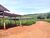Fazenda-Sítio-Chácara, 169 hectares - Foto 7