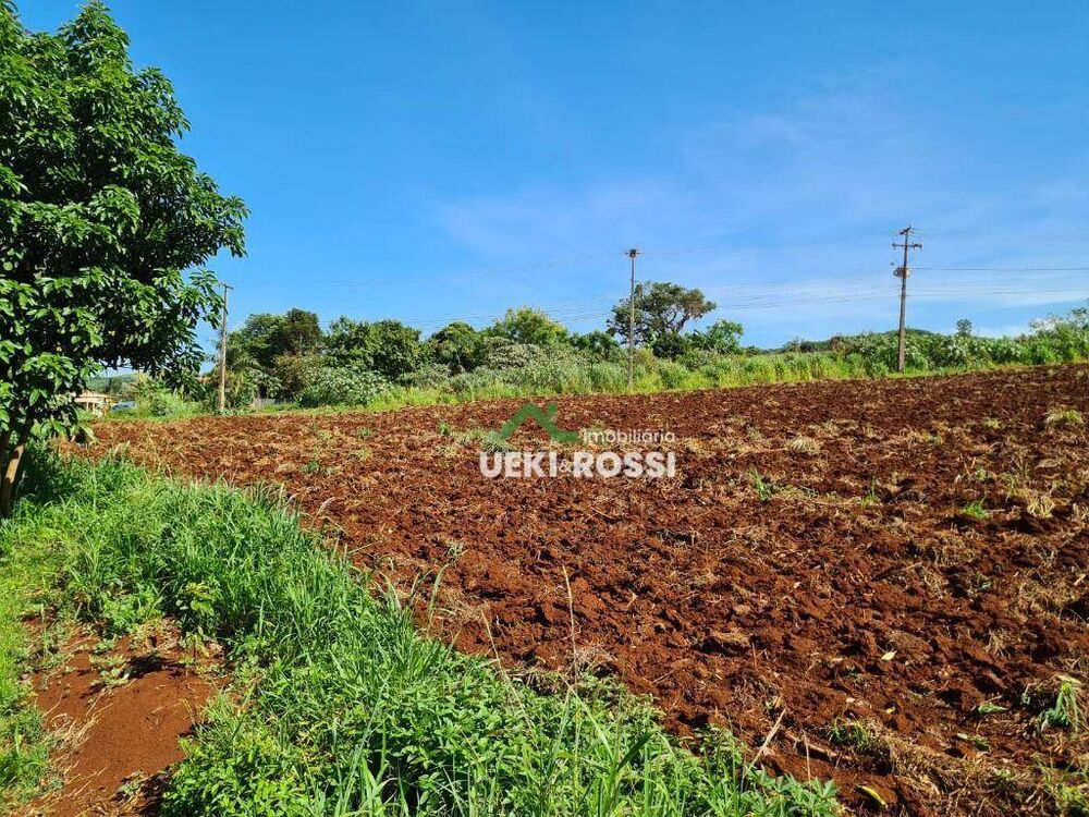 Chácara, 4000 m² - Foto 3