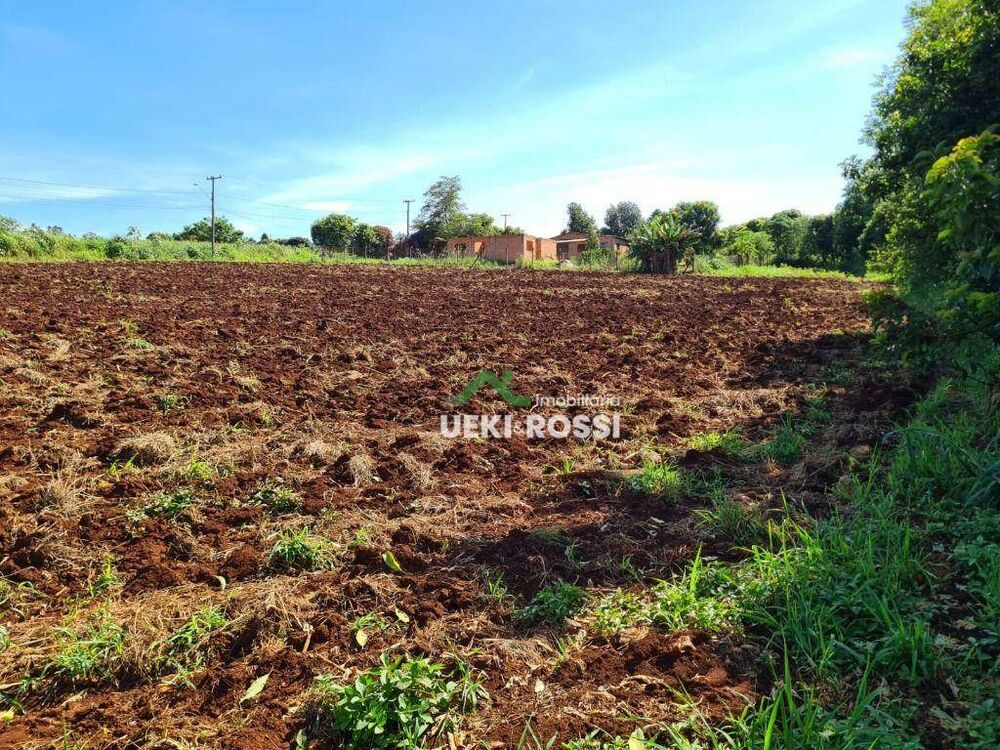 Chácara, 4000 m² - Foto 4