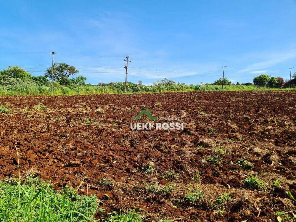 Chácara, 4000 m² - Foto 1