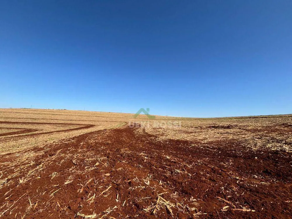Fazenda, 232 hectares - Foto 12