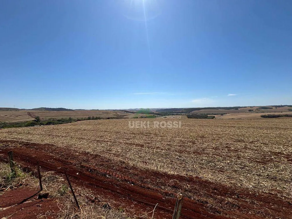 Fazenda, 232 hectares - Foto 3