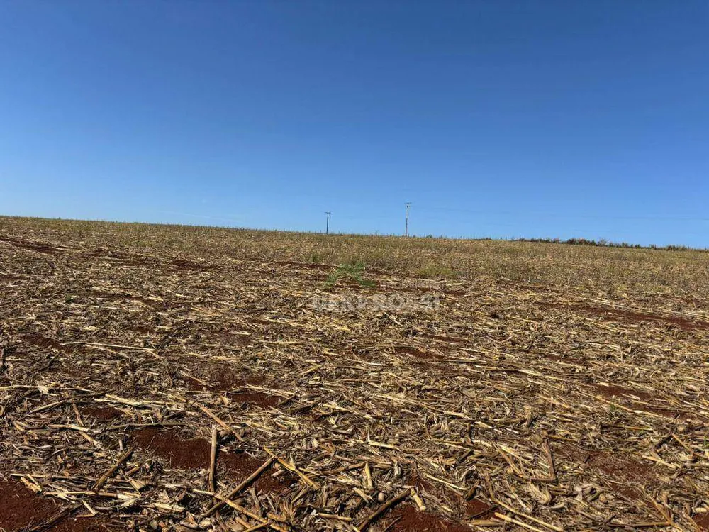 Fazenda, 232 hectares - Foto 16