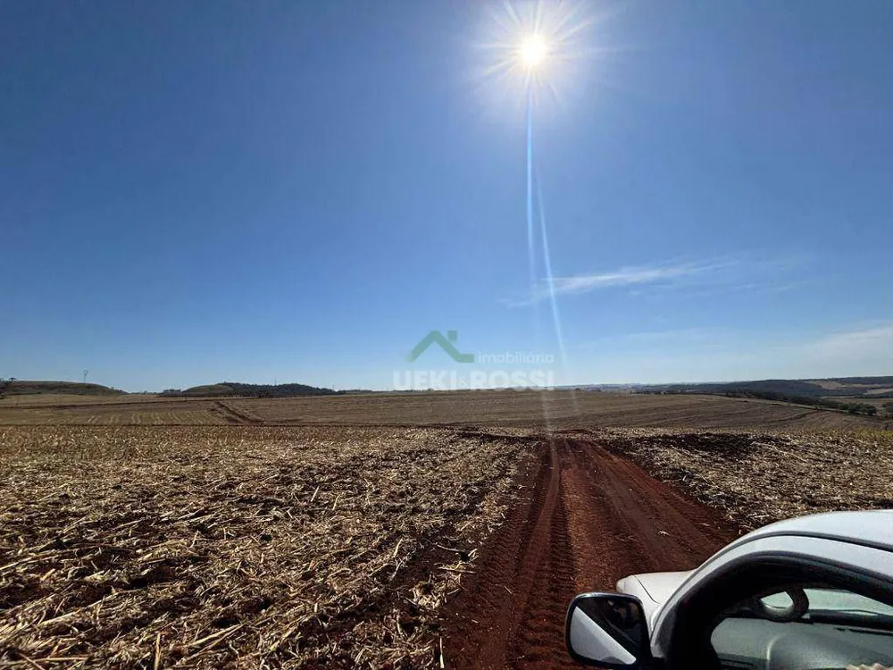 Fazenda, 232 hectares - Foto 8