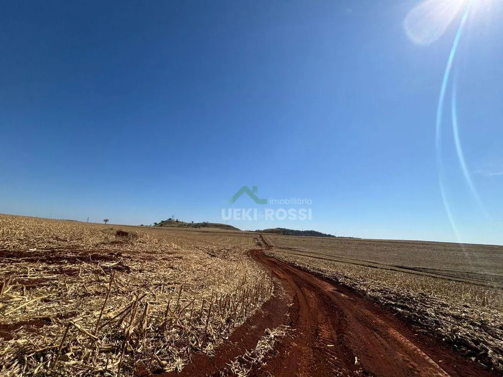 Fazenda, 232 hectares - Foto 6