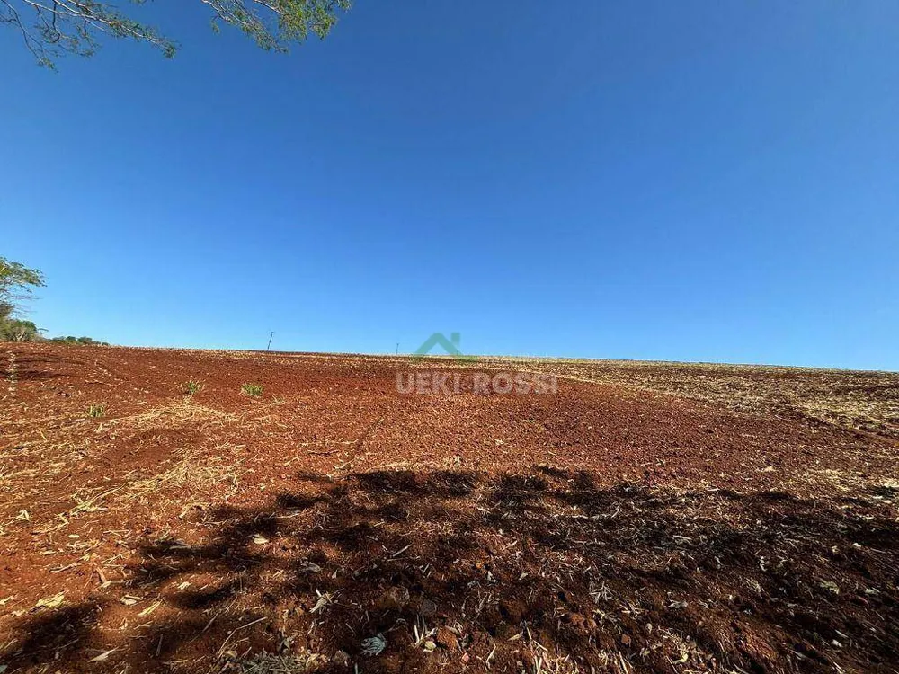 Fazenda, 232 hectares - Foto 14
