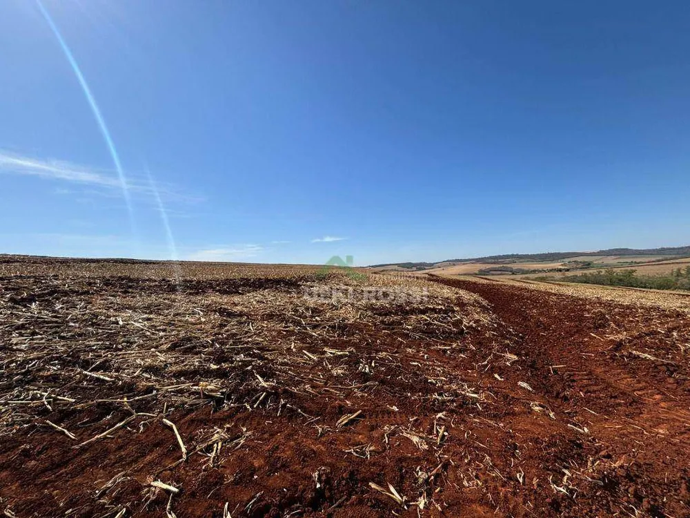 Fazenda, 232 hectares - Foto 13
