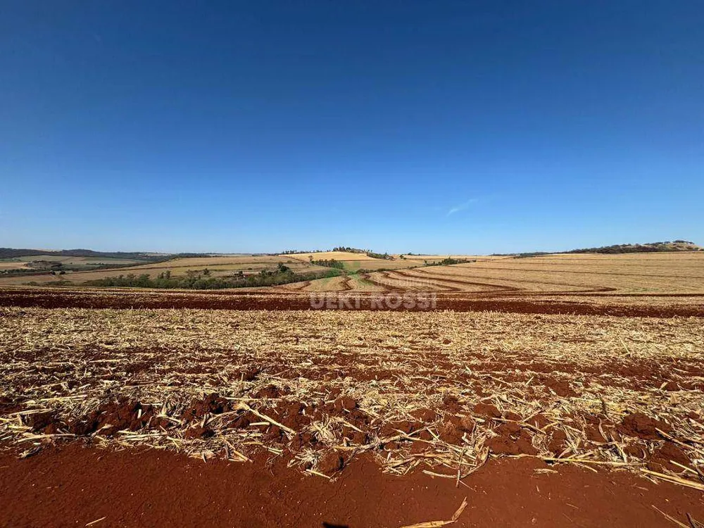 Fazenda, 232 hectares - Foto 7
