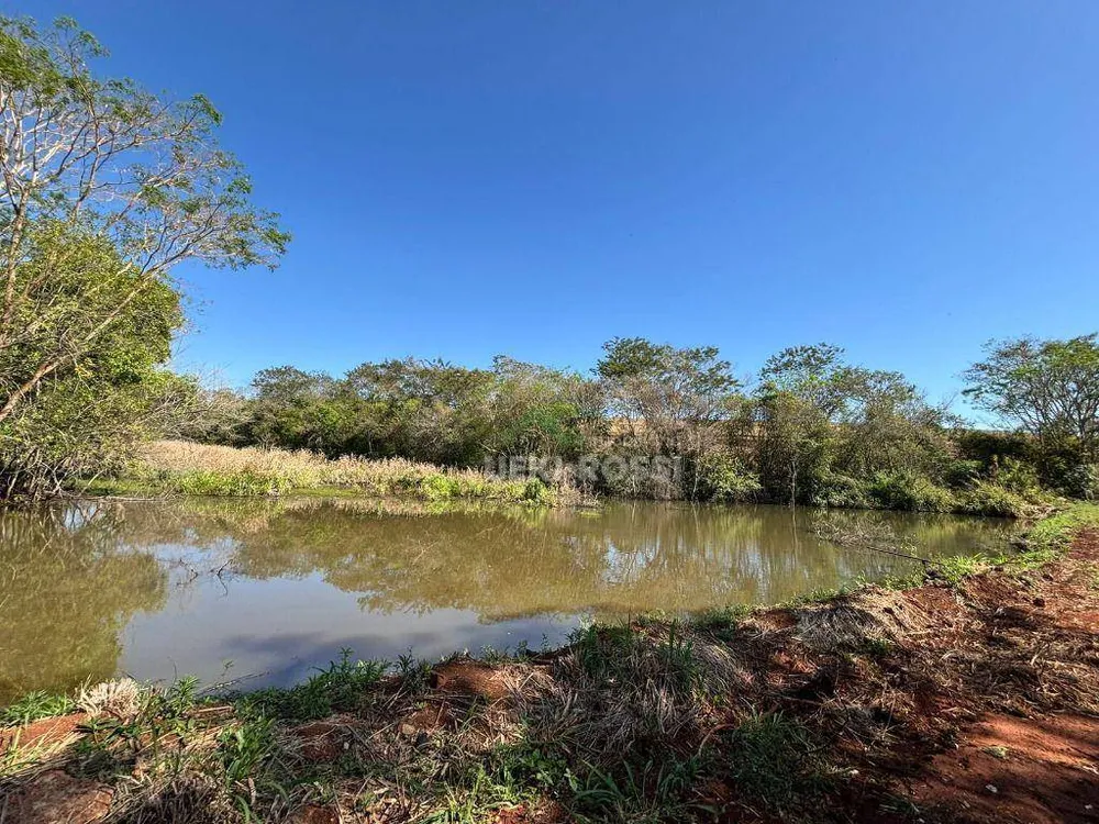 Fazenda, 232 hectares - Foto 15