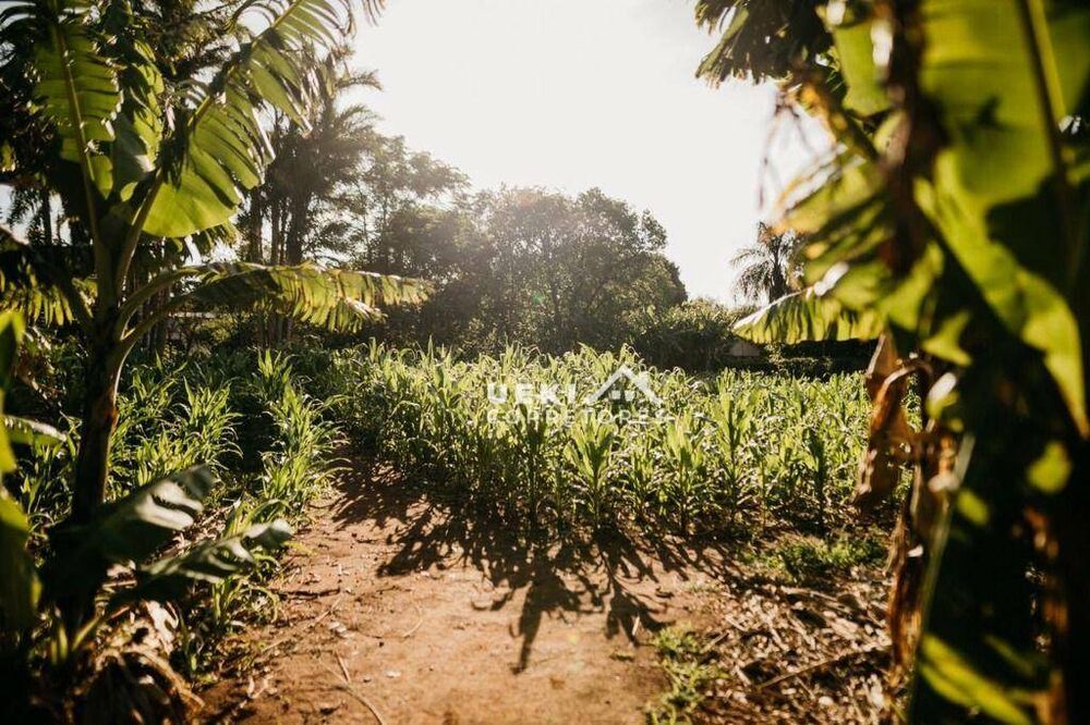 Chácara, 3 quartos, 10000 m² - Foto 3